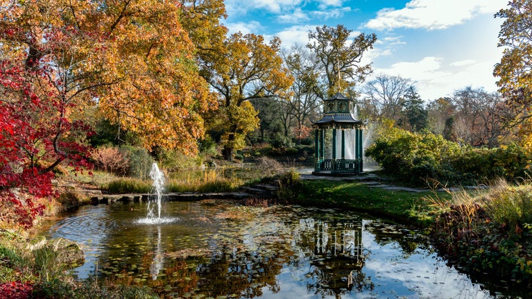 View of a water garden with autumnal trees, lake, and an ornate roofed seating area